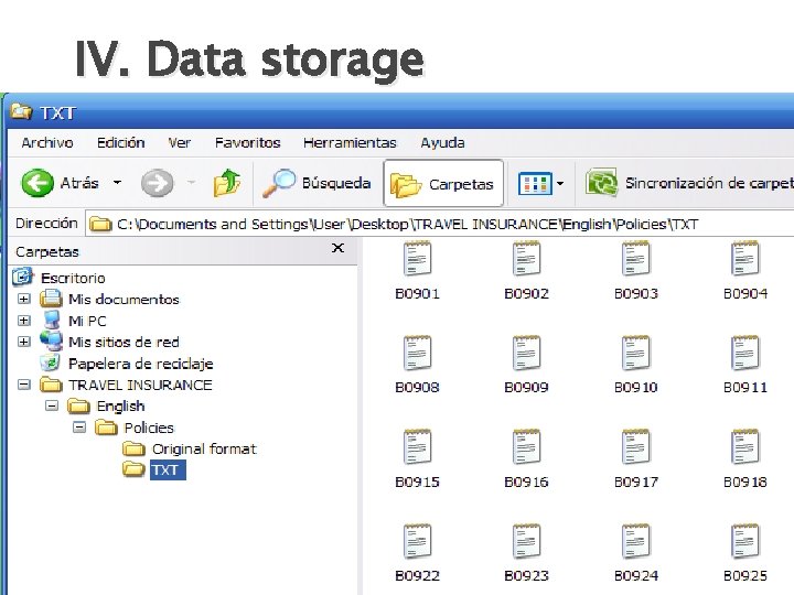 IV. Data storage 