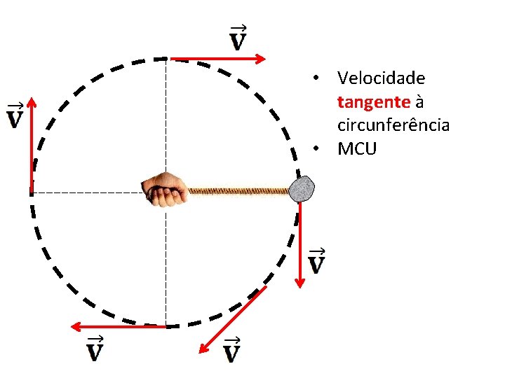  • Velocidade tangente à circunferência • MCU 