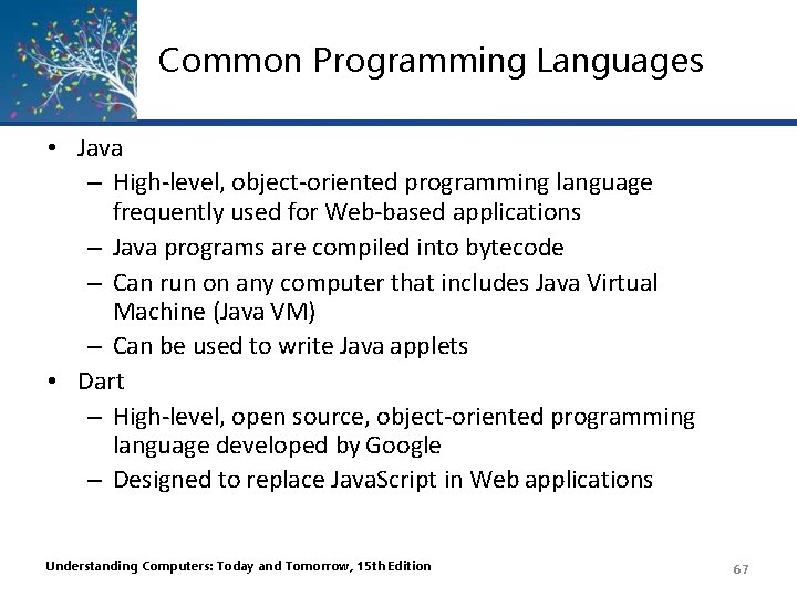 Common Programming Languages • Java – High-level, object-oriented programming language frequently used for Web-based Common Programming Languages • Java – High-level, object-oriented programming language frequently used for Web-based