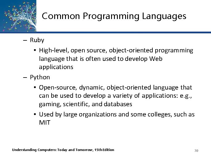 Common Programming Languages – Ruby • High-level, open source, object-oriented programming language that is Common Programming Languages – Ruby • High-level, open source, object-oriented programming language that is