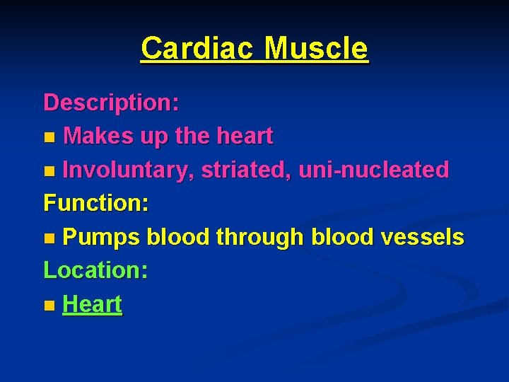 Cardiac Muscle Description: n Makes up the heart n Involuntary, striated, uni-nucleated Function: n