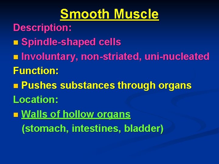 Smooth Muscle Description: n Spindle-shaped cells n Involuntary, non-striated, uni-nucleated Function: n Pushes substances