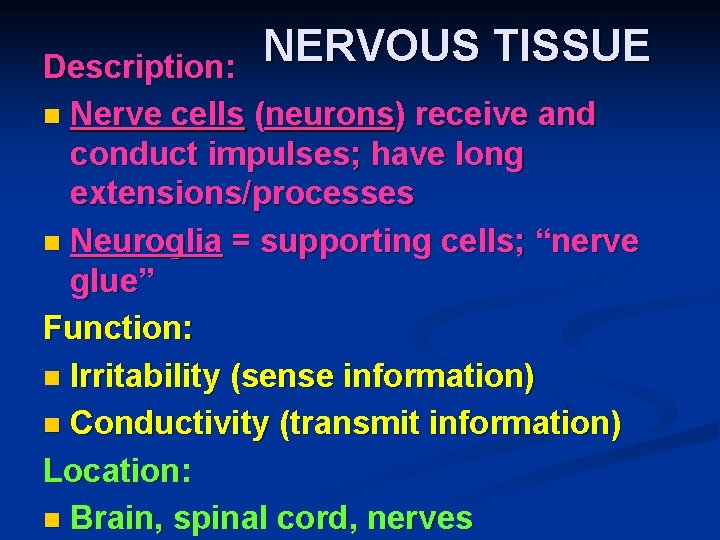 NERVOUS TISSUE Description: n Nerve cells (neurons) receive and conduct impulses; have long extensions/processes