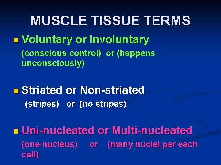 MUSCLE TISSUE TERMS n Voluntary or Involuntary (conscious control) or (happens unconsciously) n Striated