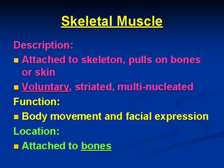 Skeletal Muscle Description: n Attached to skeleton, pulls on bones or skin n Voluntary,