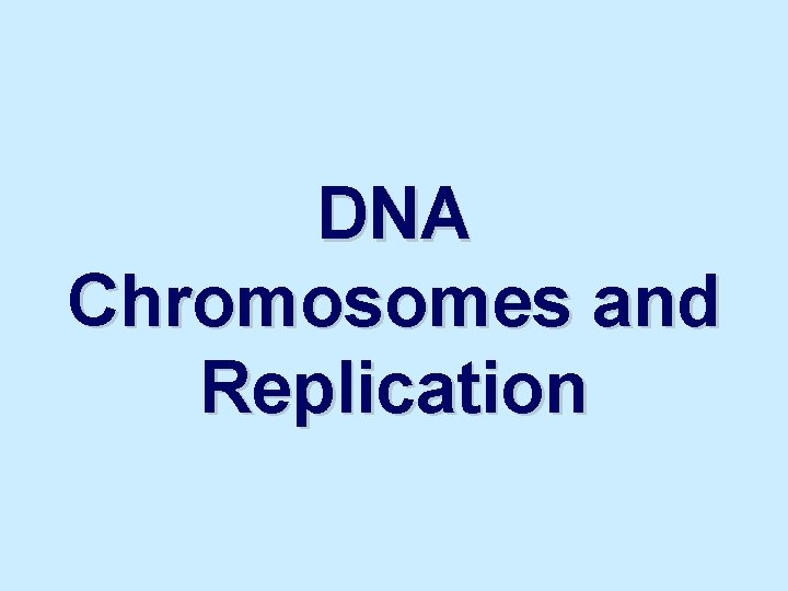 DNA Chromosomes and Replication 