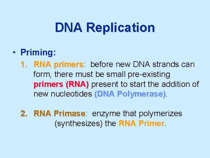 DNA Replication • Priming: 1. RNA primers: primers before new DNA strands can form,
