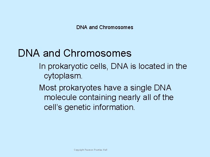 DNA and Chromosomes In prokaryotic cells, DNA is located in the cytoplasm. Most prokaryotes
