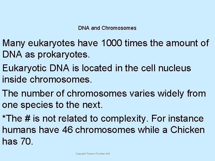 DNA and Chromosomes Many eukaryotes have 1000 times the amount of DNA as prokaryotes.