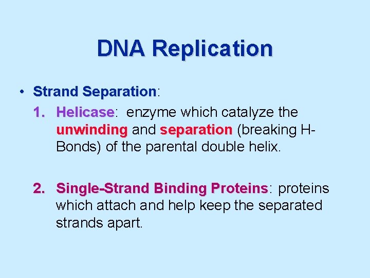 DNA Replication • Strand Separation: Separation 1. Helicase: Helicase enzyme which catalyze the unwinding