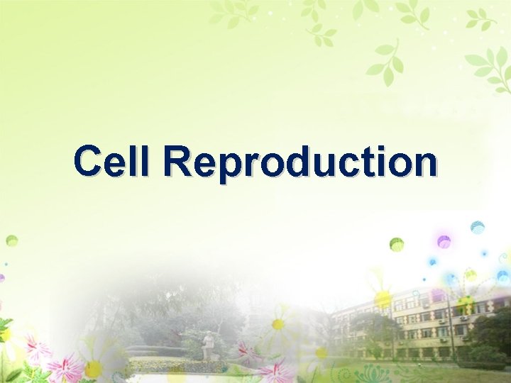 Cell Reproduction 