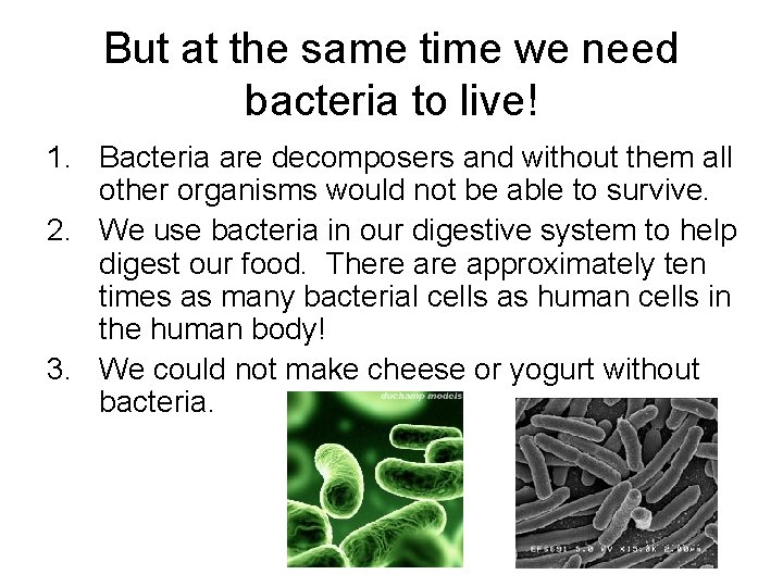 But at the same time we need bacteria to live! 1. Bacteria are decomposers