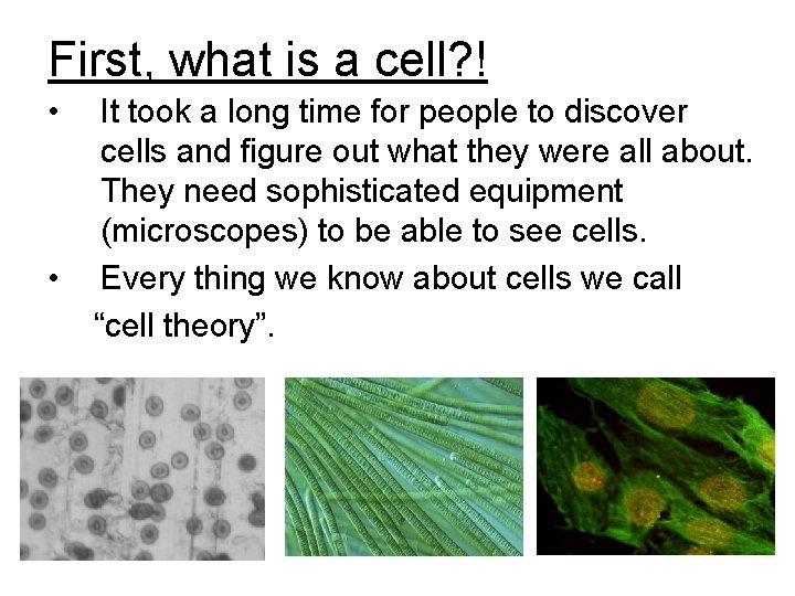 First, what is a cell? ! • • It took a long time for