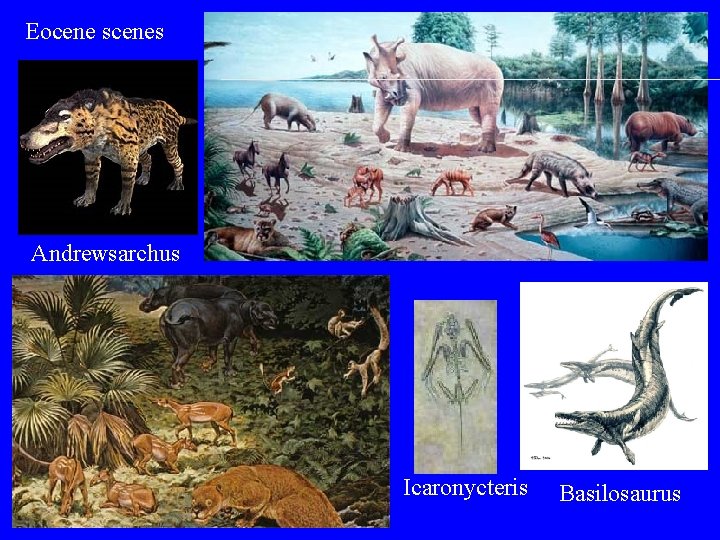 Eocene scenes Andrewsarchus Icaronycteris Basilosaurus 