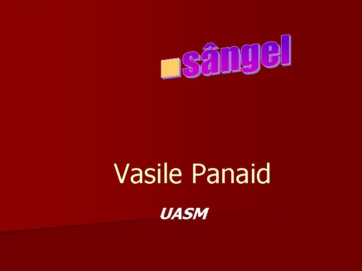 Vasile Panaid UASM 