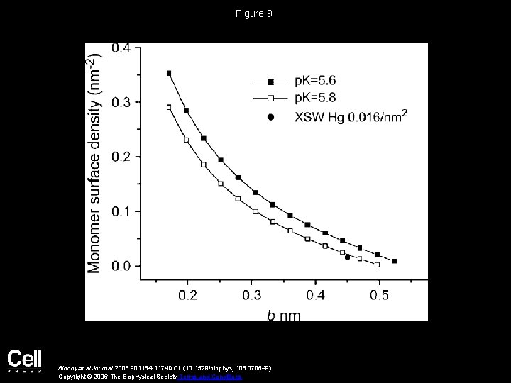 Figure 9 Biophysical Journal 2006 901164 -1174 DOI: (10. 1529/biophysj. 105. 070649) Copyright ©