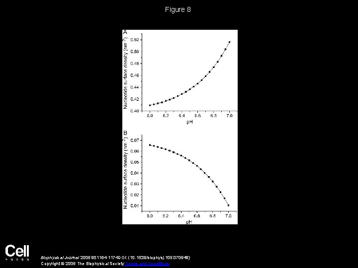 Figure 8 Biophysical Journal 2006 901164 -1174 DOI: (10. 1529/biophysj. 105. 070649) Copyright ©