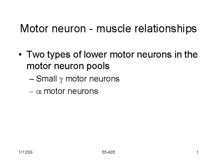 Motor neuron - muscle relationships • Two types of lower motor neurons in the