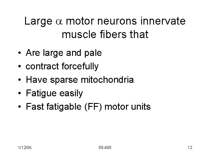 Large motor neurons innervate muscle fibers that • • • Are large and pale