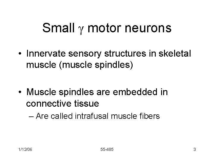 Small motor neurons • Innervate sensory structures in skeletal muscle (muscle spindles) • Muscle