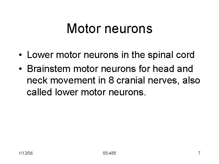 Motor neurons • Lower motor neurons in the spinal cord • Brainstem motor neurons