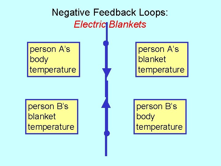 Negative Feedback Loops: Electric Blankets person A’s body temperature person A’s blanket temperature person