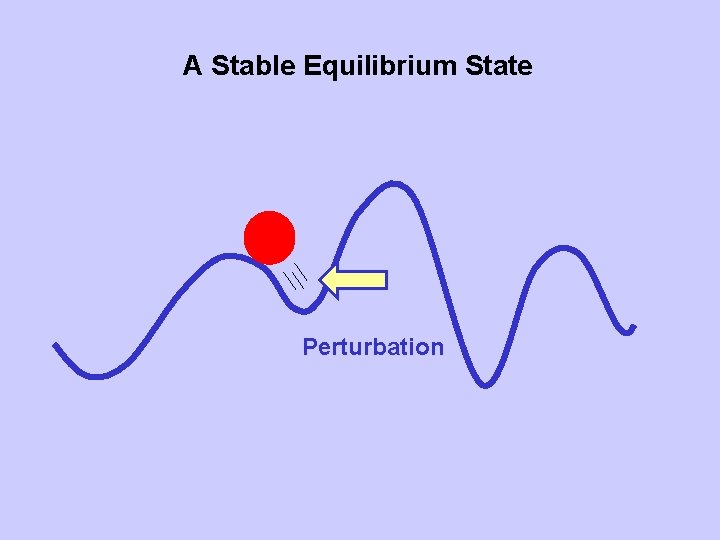 A Stable Equilibrium State Perturbation 