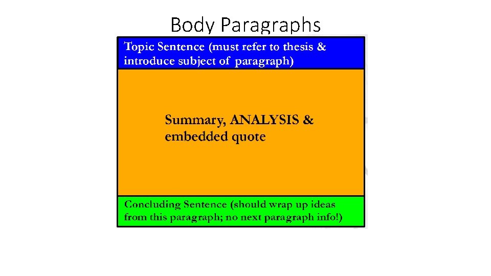 Body Paragraphs Body Paragraphs