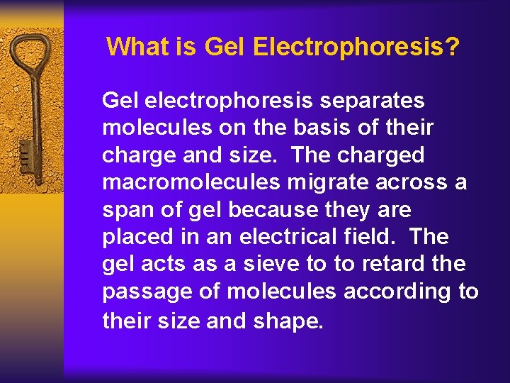 What is Gel Electrophoresis? Gel electrophoresis separates molecules on the basis of their charge