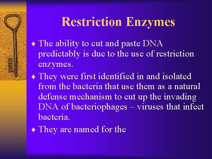 Restriction Enzymes ¨ The ability to cut and paste DNA predictably is due to