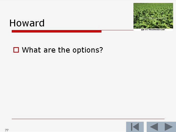 Howard o What are the options? 77 