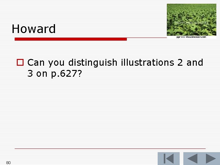 Howard o Can you distinguish illustrations 2 and 3 on p. 627? 80 