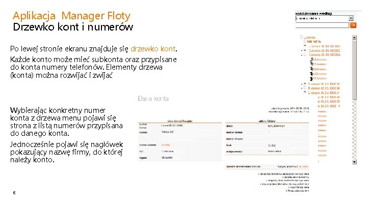 Aplikacja Manager Floty Drzewko kont i numerów Po lewej stronie ekranu znajduje się drzewko