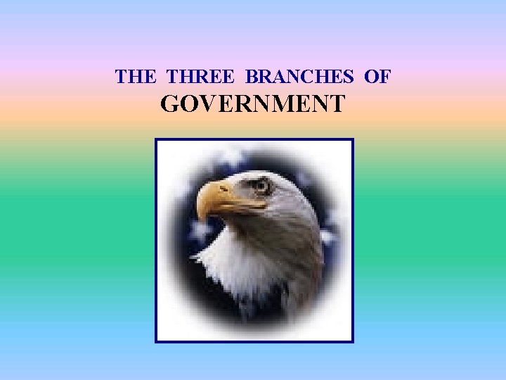 THE THREE BRANCHES OF GOVERNMENT 