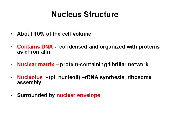 Nucleus Structure • About 10% of the cell volume • Contains DNA - condensed