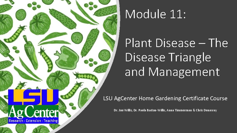 Module 11: Plant Disease – The Disease Triangle and Management LSU Ag. Center Home