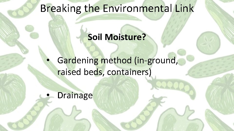 Breaking the Environmental Link Soil Moisture? • Gardening method (in-ground, raised beds, containers) •