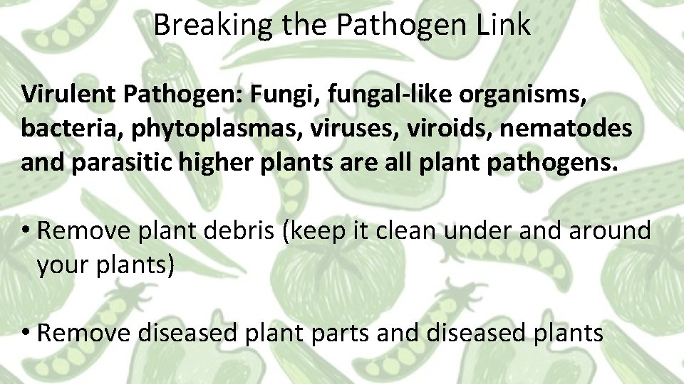Breaking the Pathogen Link Virulent Pathogen: Fungi, fungal-like organisms, bacteria, phytoplasmas, viruses, viroids, nematodes