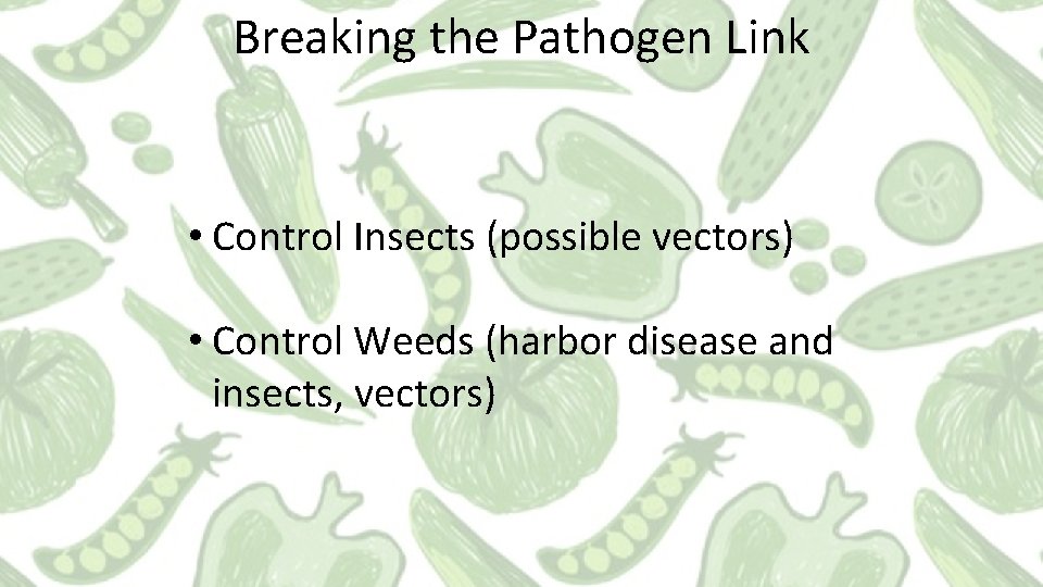 Breaking the Pathogen Link • Control Insects (possible vectors) • Control Weeds (harbor disease