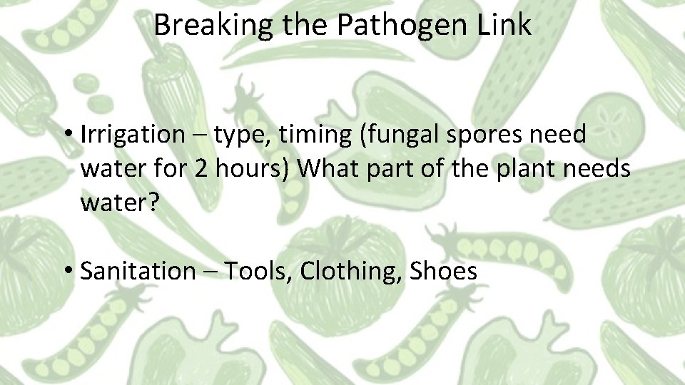 Breaking the Pathogen Link • Irrigation – type, timing (fungal spores need water for