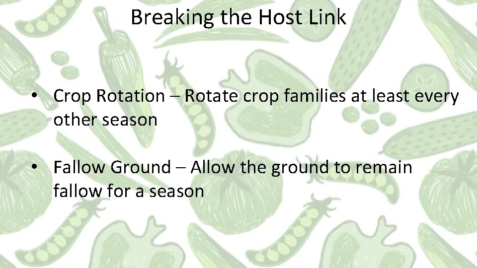 Breaking the Host Link • Crop Rotation – Rotate crop families at least every