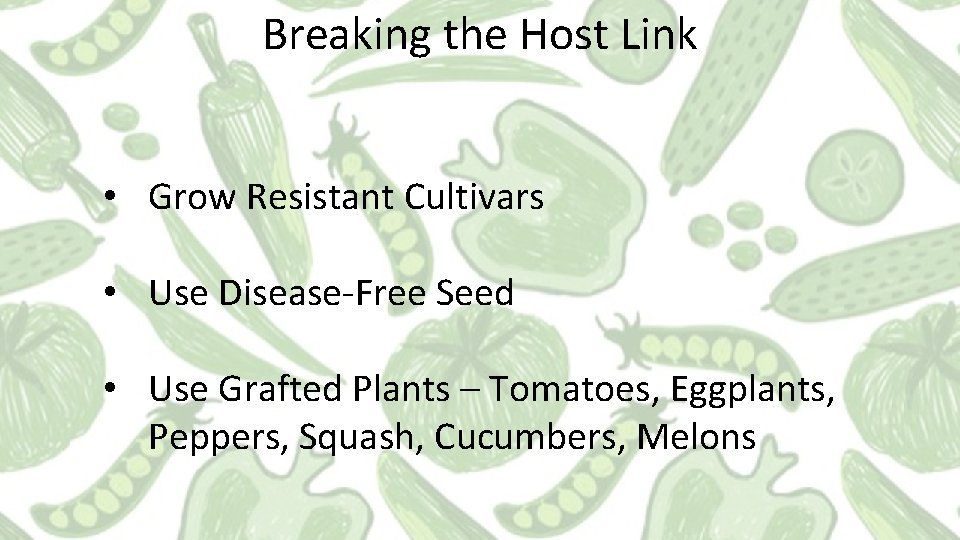 Breaking the Host Link • Grow Resistant Cultivars • Use Disease-Free Seed • Use