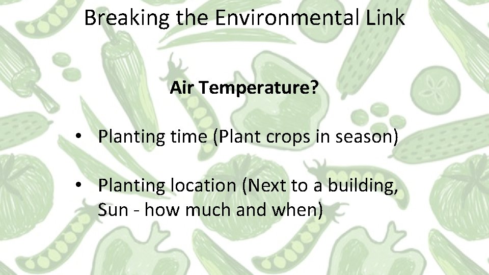 Breaking the Environmental Link Air Temperature? • Planting time (Plant crops in season) •