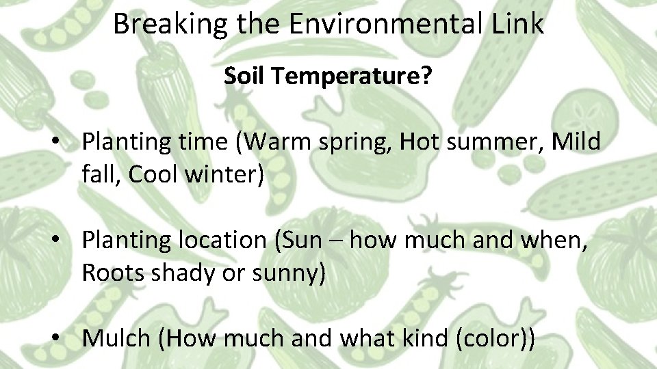Breaking the Environmental Link Soil Temperature? • Planting time (Warm spring, Hot summer, Mild