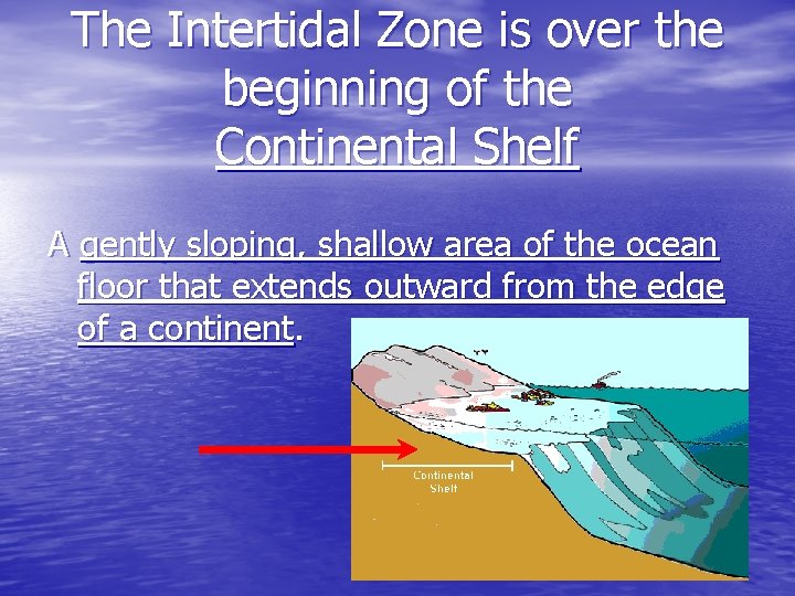 The Intertidal Zone is over the beginning of the Continental Shelf A gently sloping,