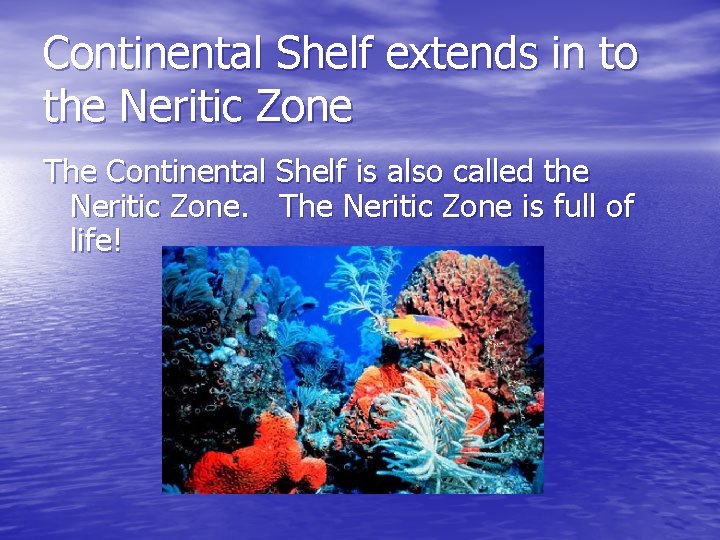 Continental Shelf extends in to the Neritic Zone The Continental Shelf is also called