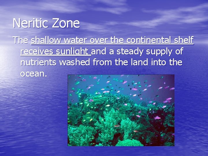 Neritic Zone The shallow water over the continental shelf receives sunlight and a steady