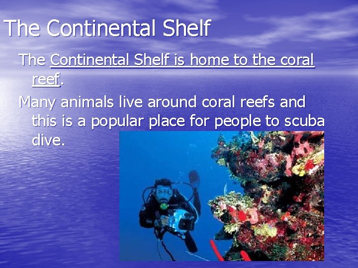 The Continental Shelf is home to the coral reef. Many animals live around coral