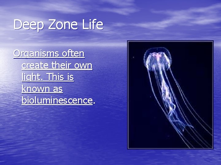 Deep Zone Life Organisms often create their own light. This is known as bioluminescence.