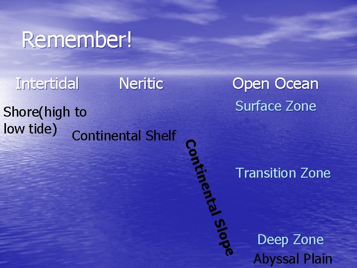 Remember! Intertidal Neritic Surface Zone tine Con Shore(high to low tide) Continental Shelf Open